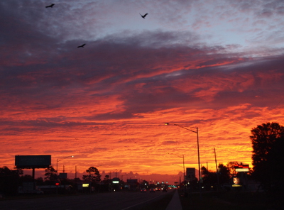 [The yellow portion of the prior photo has spread making the sky orange where it has been pink (half the image). Three dark birds are flying at the top of the image where the sky has begun turning light blue at the edge of the purple clouds.]